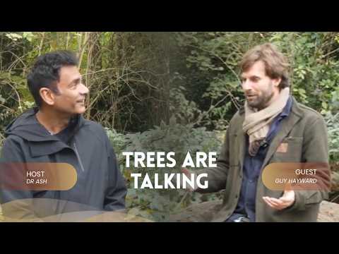 Video thumbnail: A talk in the nature about pilgrimage - Dr. Ash Kapoor & Dr. Guy Hayward