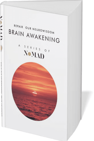 Cover of the book Brain Awakening