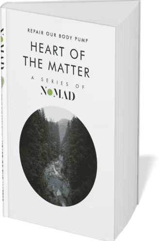Cover of the book Heart Of The Matter