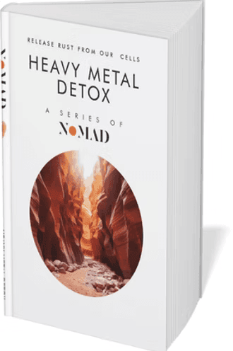 Cover of the book Heavy Metal Detox