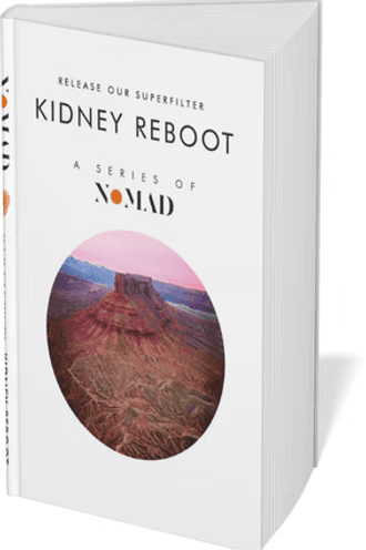 Cover of the book Kidney Reboot