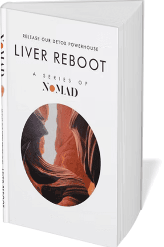 Cover of the book Liver Reboot