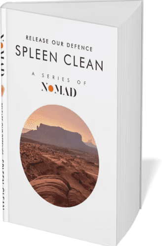 Cover of the book Spleen Clean