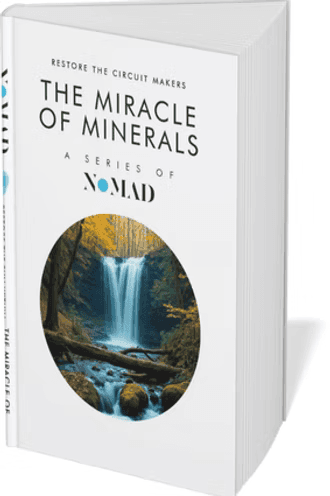 Cover of the book The Miracle of Minerals