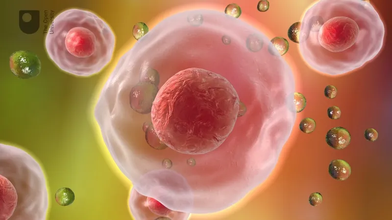 Application of Cellular Medicine: Bringing Cell Biology Into Clinical Practice