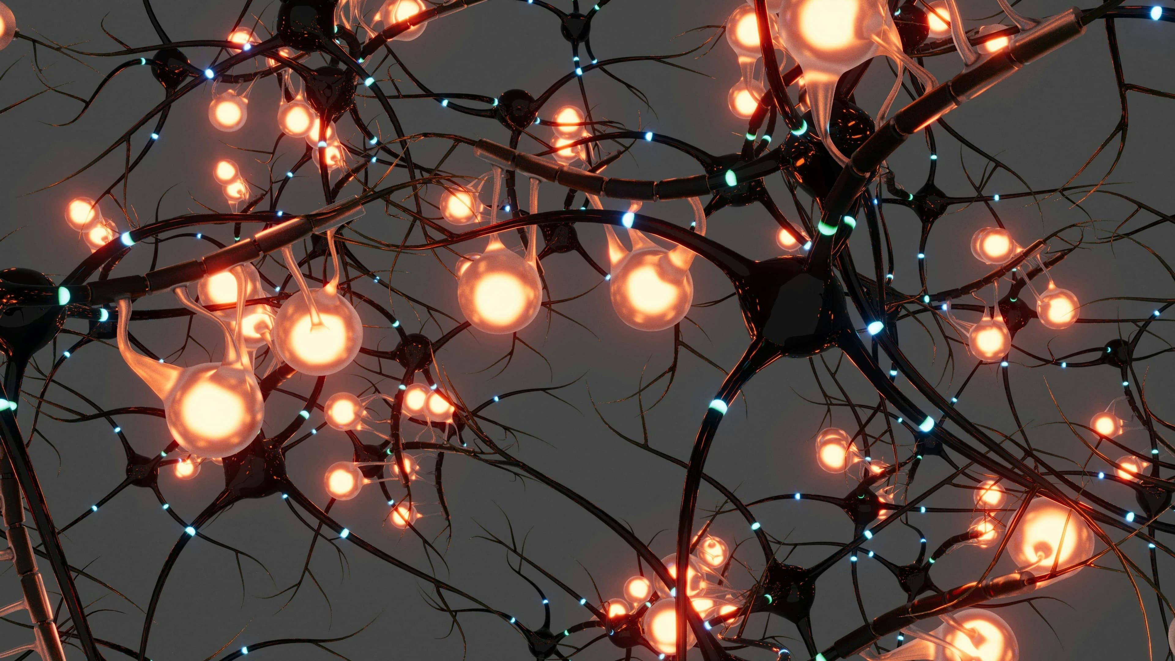 Your Brain Is a Network: Why Cognitive Health Needs a Whole-System Approach