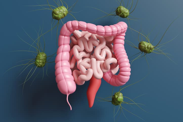 Gut Plasticity Explained: How to Rewire Your Microbiome for Better Health, Immunity, and Resilience